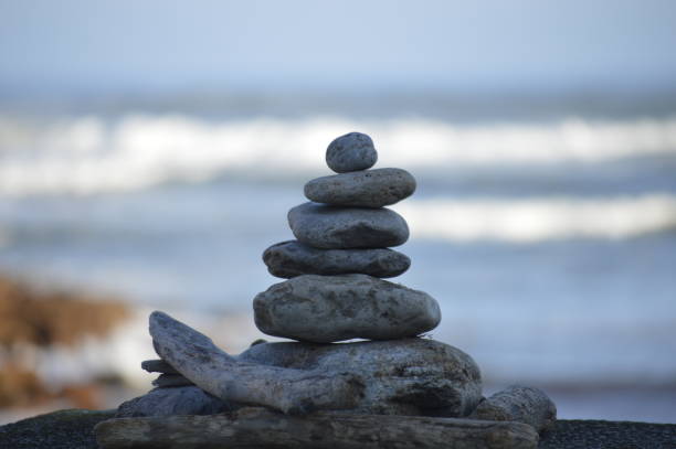 ZEN ACTIVO